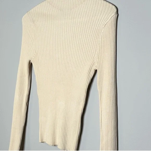Zara Ribbed Turtleneck - Picture 6 of 7